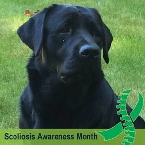 Meet your Posher, Sonja